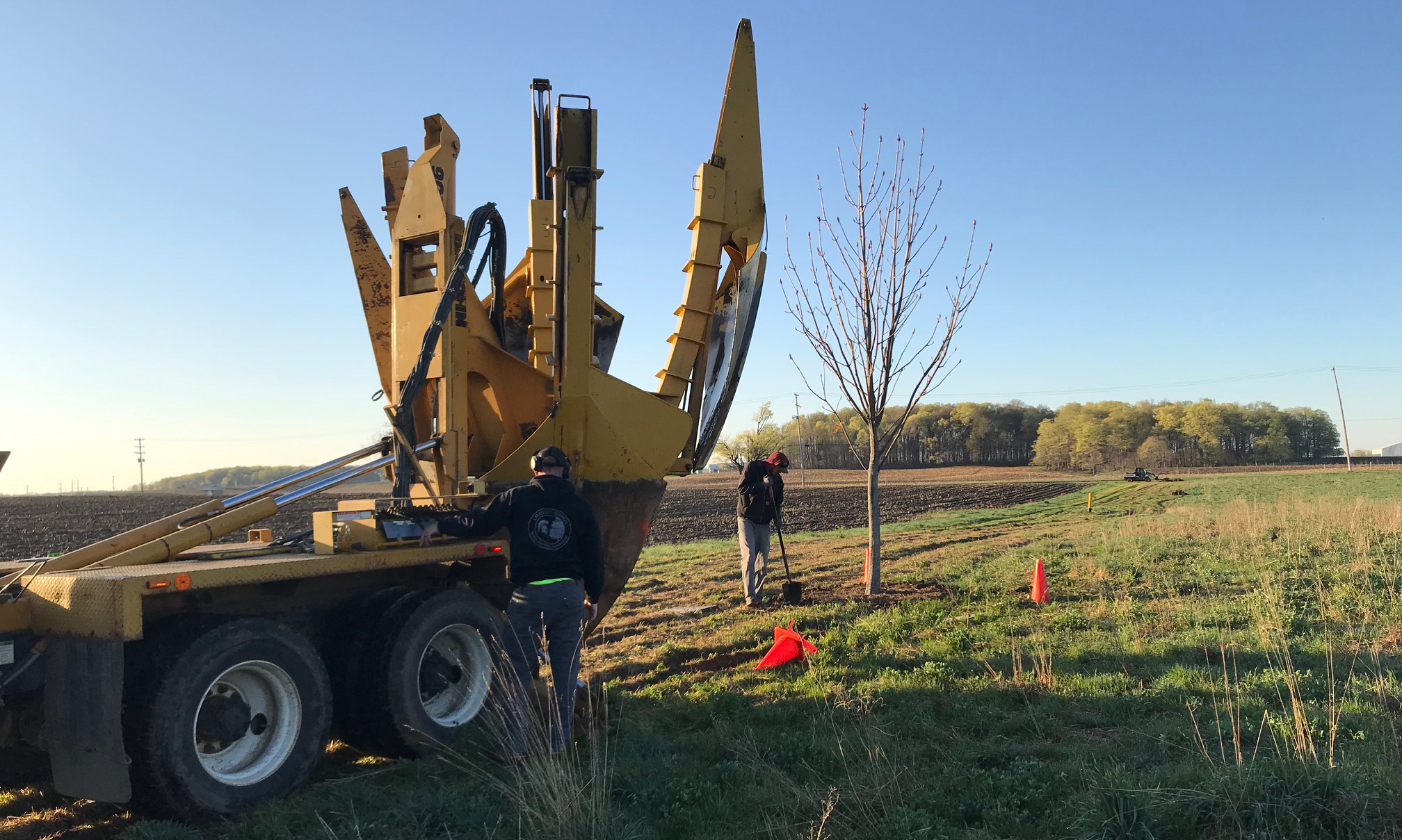 PPC tree planting